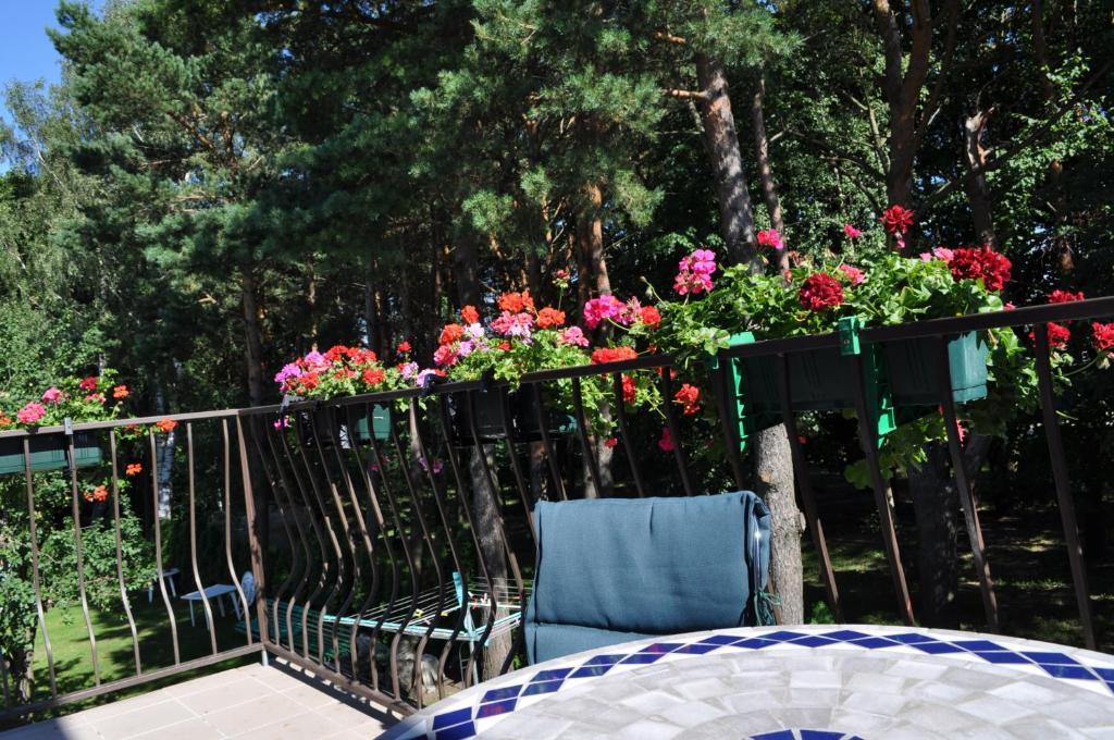 Agava Villa Palanga Buitenkant foto